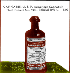 bottle of cannabis fluid extract
