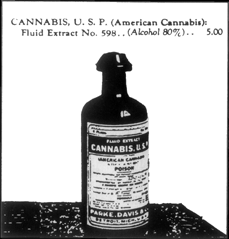 bottle of cannabis fluid extract