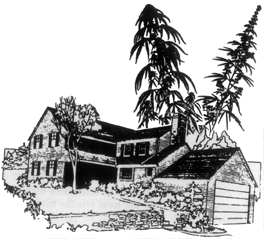 house built with hemp
