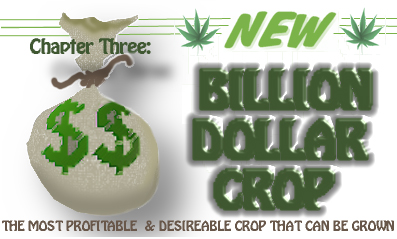 Chapter Three: New Billion Dollar Crop THE MOST PROFITABLE & DESIRABLE CROP THAT CAN BE GROWN