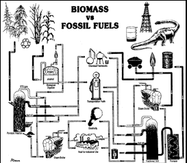 biomass vs. fossil fuels chart
