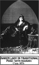 HAREM LADY IN TRADITIONAL POSE (WITH HOOKAH) Circa 1876
