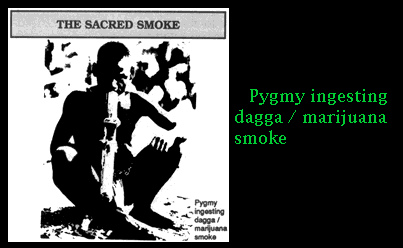 Sacred Smoke: Pygmy ingesting dagga/marijuana smoke