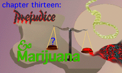 Chapter 13: Prejudice & Marijuana