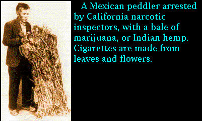 A Mexican peddler arrested by California narcotics inspectors, with a bale of marijuana, or Indian hemp. Cigarettes are made from leaves and flowers.