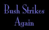 BUSH STRIKES AGAIN